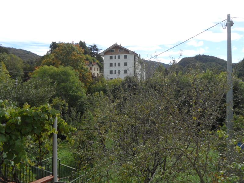 Vista