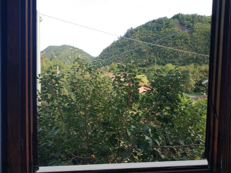 Vista