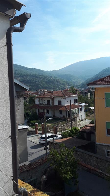 Vista